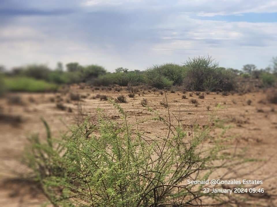 27 Hectares Plots For Sale for sale in Rehoboth Land Kalahari Deals