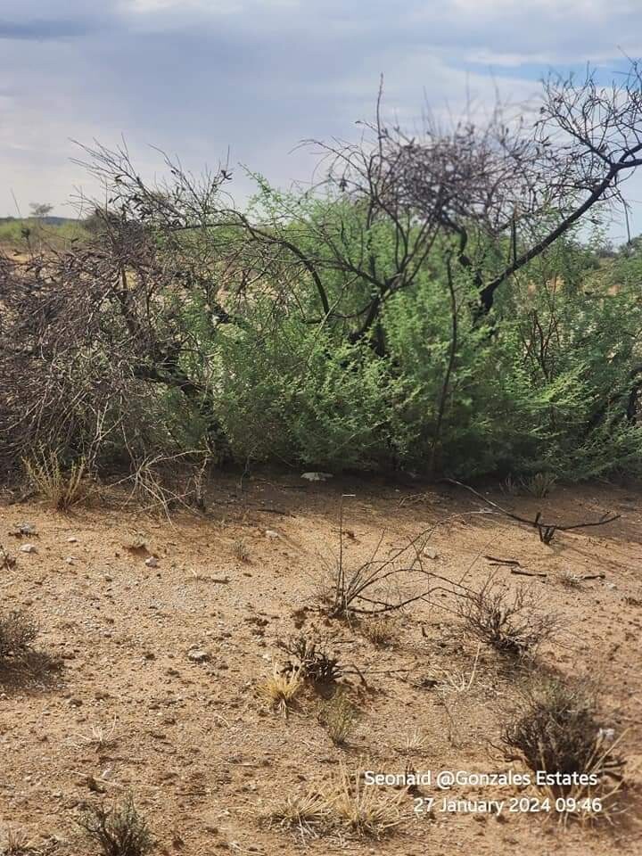 27 Hectares Plots For Sale for sale in Rehoboth Land Kalahari Deals