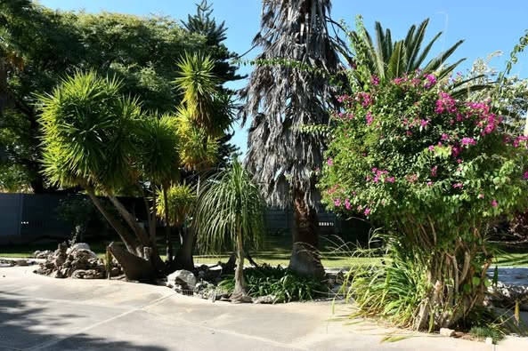 Family House in Grootfontein photo 5